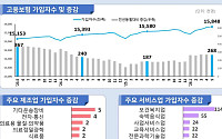60세 이상 고용보험 가입자 20만7000명 증가