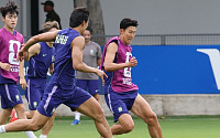ESPN “손흥민 혼자론 어렵다”⋯체코전 열쇠는 이강인·이재성 [북중미 월드컵]