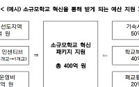 교육부, 적정규모학교 기준 폐지…소규모학교 통합·혁신에 최대 400억 지원