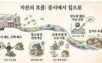 부동산 규제 시즌2에도⋯전문가들 “돈 흐름은 결국 주택 매수”[유동성의 종착역③]