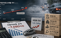 치솟는 자동차보험 손해율… 손보업계 “8주룰 등 제도 개선 시급”