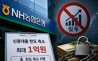 농협은행, 빚투 차단 추가조치⋯신용대출 한도 1억으로 축소