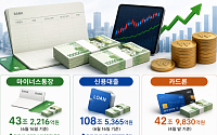 증권사 밖에서도 번지는 ‘빚투’⋯마통·카드론 확산 [빚투 엔진된 증권사]
