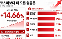 코스피 14.66% 뛸 때 더 오른 업종은…전기전자·보험·제조 ‘초과수익’