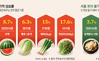 고환율에 히트플레이션, 역대급 장마까지⋯빨간불 켜진 ‘여름 물가’[요동치는 여름 장바구니 물가]