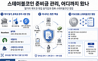 월가, 스테이블코인 준비금 시장 선점 경쟁…국내도 운용·검증 쟁점