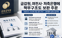 "책무 집중·겸직 주의"…금감원, 여전사·저축은행 내부통제 점검