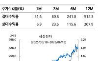 iM證 “삼성전자, 내년 영업익 340조원…목표주가 48만원으로 상향”