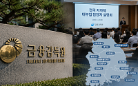 금감원, 대부업 감독 강화⋯지자체와 공조 체계 구축