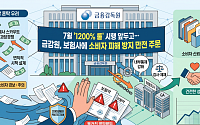 7월 '1200%룰' 시행 앞두고…금감원, 보험사에 소비자 피해 방지 만전 주문