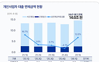 비은행권에 몰린 자영업자 빚⋯연체액 한 분기 만에 12.6%↑