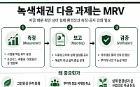 "효과 보여줘야 산다"…녹색채권 다음 과제는 'MRV' [녹색채권의 빈틈]