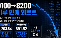 9100→8200 하루 만에 와르르…MSCI 선진지수 불발설에 코스피 역대 최대 911P 하락