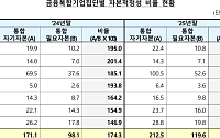 금융복합기업집단 자본적정 비율 177.6%⋯전년比 3.3%p 개선