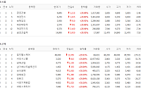 [급등락주 짚어보기] 코스피·코스닥 18개 종목 상한가...금호건설·로킷헬스케어 29%↑