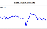 6월 기업 체감경기 하락 전환⋯'반도체 효과' 제조ㆍ수출기업만 웃었다