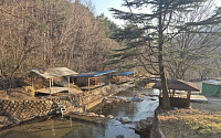 산림계곡 불법시설...전남도 312건 적발