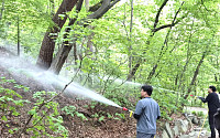 살수드론 첫 투입으로 친환경 방제⋯서울시, 러브버그 대응 강화