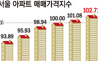 빚내서 집 사는 시대 끝냈지만⋯다시 뛰는 서울 집값 [6·27 대책 1년①]