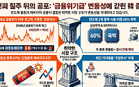 9천피 랠리 뒤집은 변동성…韓증시, 금융위기급 공포에 갇혔다