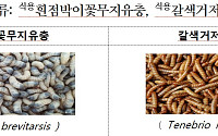 먹는 곤충도 농가부터 ‘해썹’…소비자 불신 넘을 안전망