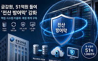 금융권 전산 리스크 커지자…금감원, 51억원 들여 '방어막' 키운다