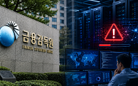 금감원, 금융IT 리스크 점검⋯“사고 대응·복구체계 갖춰야”