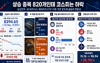 반도체 레버리지 ETF 한 달 만에 상장사 88%가 하락…변동성은 역사적 고점