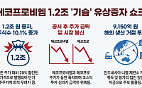 에코프로비엠 1.2조 유증…시장 신뢰도 다시 시험대