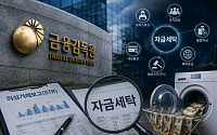 금감원, 은행권 AML 강화 나선다⋯신종 자금세탁 사례 공유