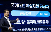 포스코, 철강·리튬·에너지 삼각편대…장인화 회장 “2035년 영업익 13조 달성”