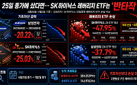 SK하이닉스 레버리지 ETF, 일주일 새 반토막…삼전도 40% 손실