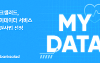 뱅크샐러드, 정부 마이데이터 지원사업 선정…의료데이터 서비스 개발