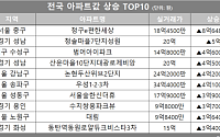 [아파트값 상승 톱10] 경기 성남시 ‘산운마을10단지대광로제비앙’ 등
