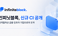 인피닛블록, CI 개편…커스터디 넘어 기관용 인프라 확장