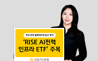 "반도체 다음 타자는 전력인프라"…'RISE AI전력인프라 ETF' 주목