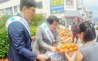 농협중앙회 전남본부, 금융사기 예방·양파 소비촉진 캠페인