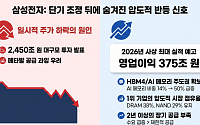 삼성전자, '2450조 투자·메타발 쇼크' 겹악재 딛고 반등…전망은 '맑음'
