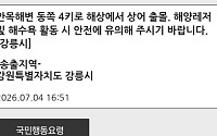 해수욕장 개장했는데 '상어 출몰' 신고…강릉시 재난문자 발송