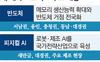 “임기 내 팹” 외쳤지만…여의도는 정책보다 반도체 업황에 집중 [메가프로젝트와 4년 머니맵 - ①]