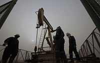 OPEC+ 5개월 연속 증산 합의…"내년 공급과잉 우려"