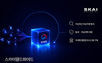 스카이월드와이드, 국세청 ‘가상자산 통합분석시스템’ 구축 참여