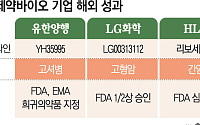 미국·유럽 두드리는 국내 개발 신약…임상·허가 성과 기대감[차세대 K-신약③]