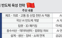 HBM 다음은 AI칩·첨단패키징…中 다음 승부수 [중국 반도체 굴기 2026 下]