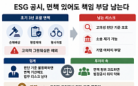 포괄 면책에도 남는 그린워싱 책임…법정공시 실효성 시험대 [베일 벗은 ESG 공시 로드맵]