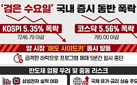 코스피 5.4%·코스닥 5.6% 급락…'검은 수요일' 양 시장 매도 사이드카 발동