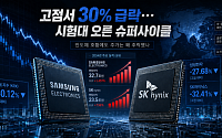 고점서 30% 급락…시험대 오른 슈퍼사이클 [반도체 고점인가, 저가매수 기회인가]