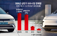 테슬라·BYD·지커 '중국산' 삼각공세…안방 車 시장 흔든다