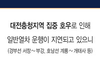 [속보] 집중호우 여파…대전-제천·익산-용산 무궁화호 3대 중지