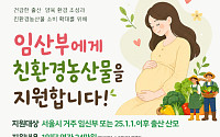 서울시, 임산부 2만9000명 친환경농산물 연 24만원 지원⋯13일부터 접수